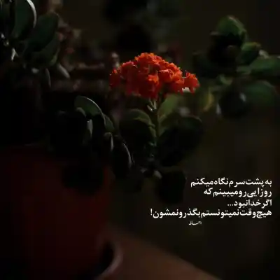 دانلود آهنگ جدید عباس قادرى یکی یدونه دل من محبوب خوشگل من کیفیت عالی دانلود آهنگ یکی یدونه دل من محبوب خوشگل من
