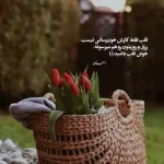 دانلود آهنگ جدید اندی آره آره دوست داه کیفیت ناب mp3 دانلود آهنگ جدید اندی آره آره دوست داه کیفیت ناب mp3