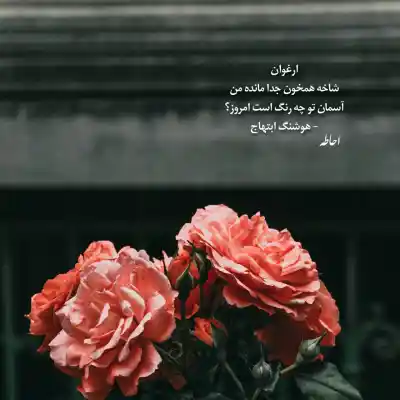 دانلود آهنگ  دختر ایرونی مثل گله چه رنگ و رویی داره