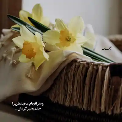 دانلود آهنگ جدید اندی تو گل بندری آره آره والله 320 اصلی دانلود آهنگ تو گل بندری آره آره والله