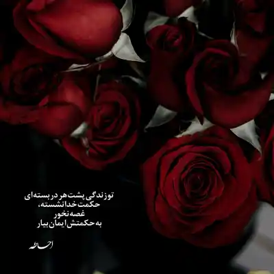 دانلود آهنگ  عزیزم دوستت دارم تولدت مبارک