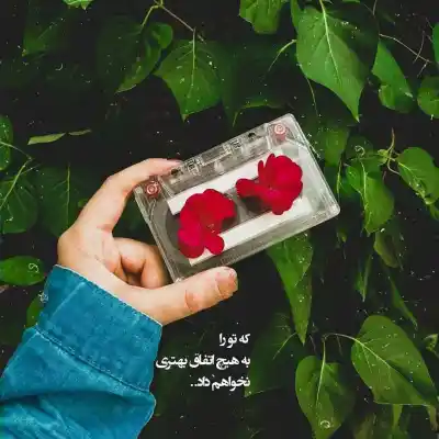 دانلود آهنگ  آرش بی تو سردمه ای عشق من