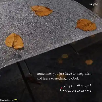 دانلود آهنگ  یه دل میگه برم برم یه دلم میگه نرم نرم