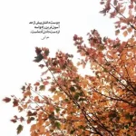 دانلود آهنگ جدید آرون افشار حالا که خوشبختی باهام واسه خدا دست بزن ای جان MP3 کیفیت 320 دانلود آهنگ جدید آرون افشار حالا که خوشبختی باهام واسه خدا دست بزن ای جان MP3 کیفیت 320