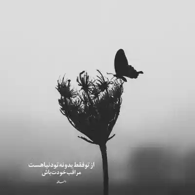 دانلود آهنگ  الان کجای این شهری