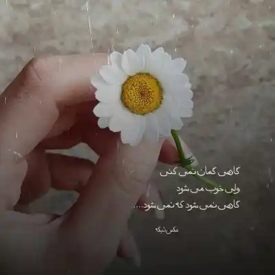 دانلود آهنگ  من همونم که برات میمیرم