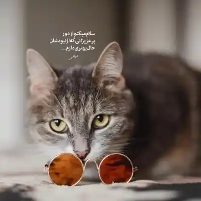 دانلود آهنگ  داره برف میباره زیاد هی با صدای زن