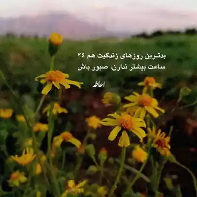 دانلود آهنگ جدید حالا تو عاشقی یا من مارتیک MP3 کیفیت 320 دانلود آهنگ حالا تو عاشقی یا من مارتیک