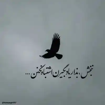 دانلود آهنگ  با دل چون کبوترم انس گرفته