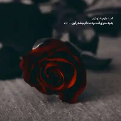 دانلود آهنگ  واسه دختر شما خواستگارای اومدن