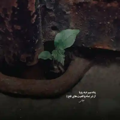 دانلود آهنگ  منم شدم مثه مث مثل تو مثل تو