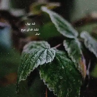 دانلود آهنگ  انگار نه انگار