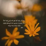 دانلود آهنگ جدید منصور شیرین شیرینه یار کیفیت بالا mp3