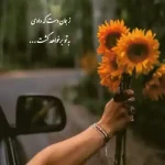دانلود آهنگ جدید مسیح و آرش Ap شاخه نبات من دیگه برات تا دم بهار نمیمونم MP3 کیفیت 320