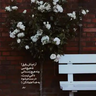 دانلود آهنگ  میدونی قلبم آروم نداره