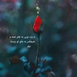 دانلود آهنگ جدید محسن لرستانی ای دختر بی حیا کیفیت ناب mp3 دانلود آهنگ جدید محسن لرستانی ای دختر بی حیا کیفیت ناب mp3