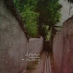 دانلود آهنگ جدید ناصر زینعلی دلبر ناب دلم MP3 کیفیت 320
