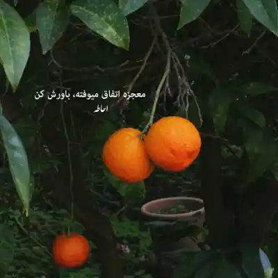 دانلود آهنگ جدید نیواد لمس موهای تو مثل تار گیتارم MP3 کیفیت 320 دانلود آهنگ لمس موهای تو مثل تار گیتارم