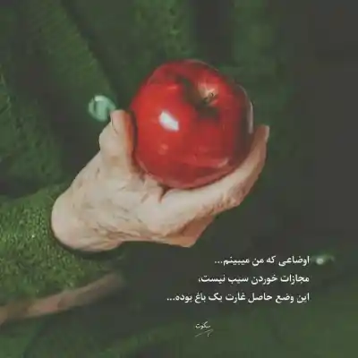 دانلود آهنگ  دل به تو بستم عاشقت هستم