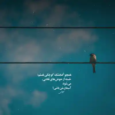 دانلود آهنگ  الله دیگه مال من شد