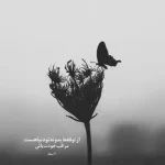 دانلود آهنگ جدید رامین تجنگی مرام لاتی داره بری تو نخش کیفیت عالی دانلود آهنگ جدید رامین تجنگی مرام لاتی داره بری تو نخش کیفیت عالی