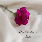 دانلود آهنگ جدید رضا کرمی تارا دنیا مثل چرخ و فلکه یه رو میشکنه قلبت MP3 کیفیت 320
