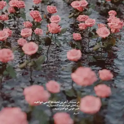 دانلود ریمیکس روزبه بمانی کجا باید برم که یک شب فکر تو منو راحت بزاره کیفیت عالی دانلود آهنگ کجا باید برم که یک شب فکر تو منو راحت بزاره