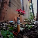 دانلود آهنگ جدید سعید آسایش ای دختر پول دار که بابات کار خونه داره MP3 کیفیت 320