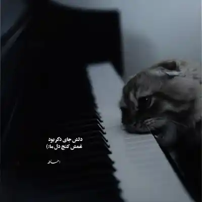 دانلود آهنگ  ساقی امشب مثل هر شب اختیارم دسته
