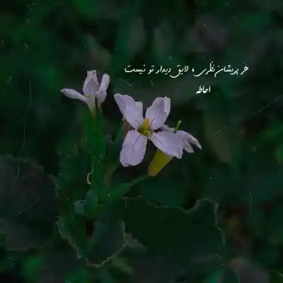 دانلود آهنگ جدید دلتنگم دلتنگم دلتنگ تو دلتنگ چشمای خوش رنگ تو MP3 کیفیت 320 دانلود آهنگ دلتنگم دلتنگم دلتنگ تو دلتنگ چشمای خوش رنگ تو