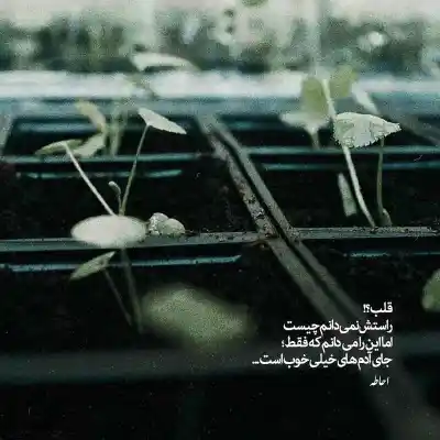 دانلود آهنگ  سلامتی چشمات ۴۰ بار