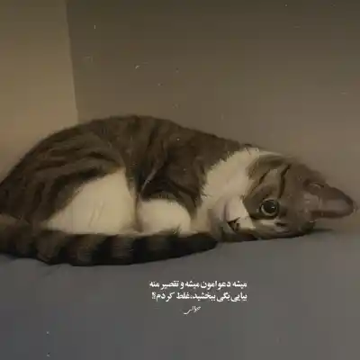 دانلود آهنگ  بزار تو حال خودم باشم - تتلوو