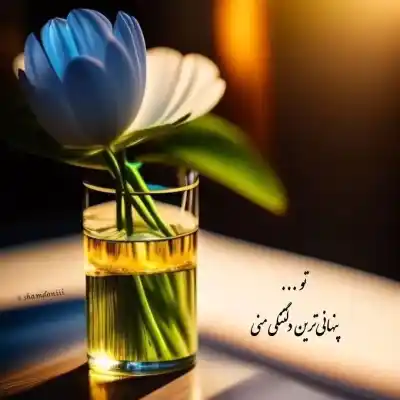 دانلود آهنگ  واسه قلبم نگات همیشه آنتیکه
