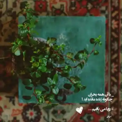 دانلود آهنگ  سبزه کشمیر ما