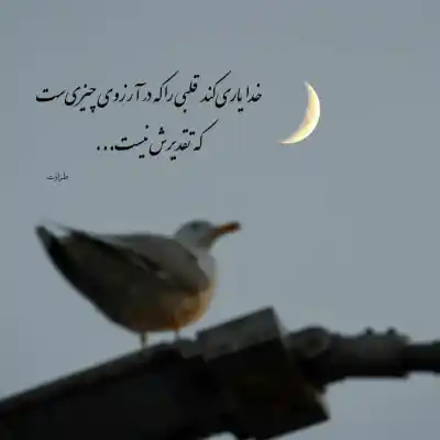 دانلود آهنگ  آخه من برات هلاکم میدونی