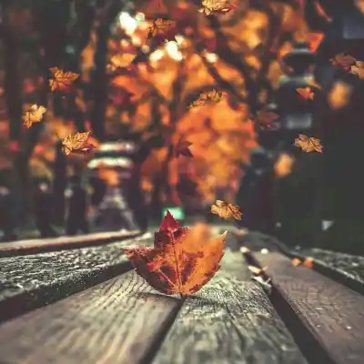 دانلود آهنگ  تنهام نزار با صدای افرند