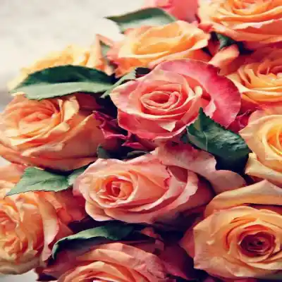 دانلود آهنگ  عجب وضعی شده چی شده ما که موندیم والا
