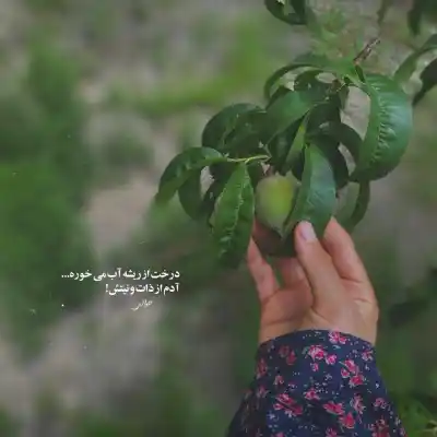 دانلود آهنگ  ﺑﻰ ﺗﻮ ﻛﻪ ﻟﺤﻈﻪ ای ﺧﻮاﺑﻢ ﻧﺮﻓﺖ ﺗﻮرو ﻳﺎدم ﻧﺮﻓﺖ ﻣﻦ دﻳﻮاﻧﻪ