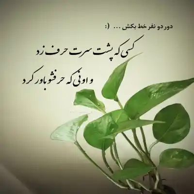 دانلود آهنگ  با ناز و ادا دلتو شکارش میکنم