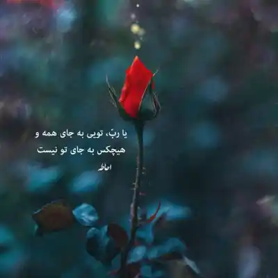 دانلود آهنگ  بی بی دل (بی بی دلی سربازتم) بابک مافی