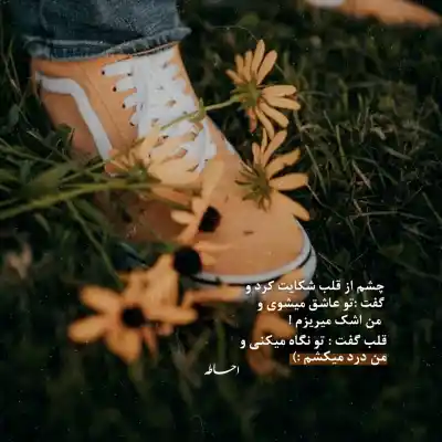 دانلود آهنگ  "خانم یه نگاه به لنز دوربین "بهروز سکتور