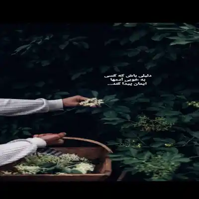 دانلود آهنگ  درک نداری ببینی من چمه