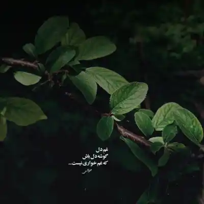 دانلود آهنگ  سلطان قلب من