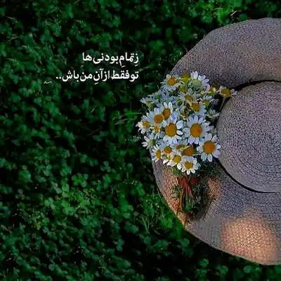 دانلود آهنگ  حاجی قدو‌ ببین یا خدا از دیانو ترند اینستا