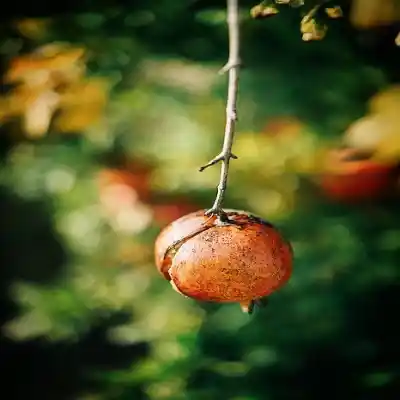 دانلود آهنگ  حالا گوش کن اکس قشنگم حس قشنگم