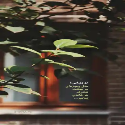 دانلود آهنگ  من میمونم پات قلب من جاش