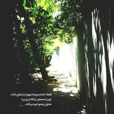 دانلود آهنگ جدید مجید رضوی من واست میمیرم میگیرم دستاتو آروم میشم کیفیت عالی دانلود آهنگ من واست میمیرم میگیرم دستاتو آروم میشم