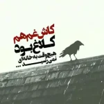 دانلود آهنگ جدید مسیح و آرش Ap بیا بازم بیا بی تو من از این زندگی سیرم کیفیت عالی