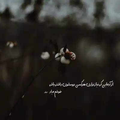 دانلود آهنگ  مو یارم بی خبر رفته سفر دیر کرده