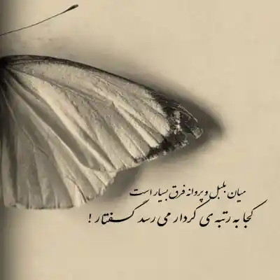 دانلود آهنگ  مواظبم باش نزار بمیره فردام د دن